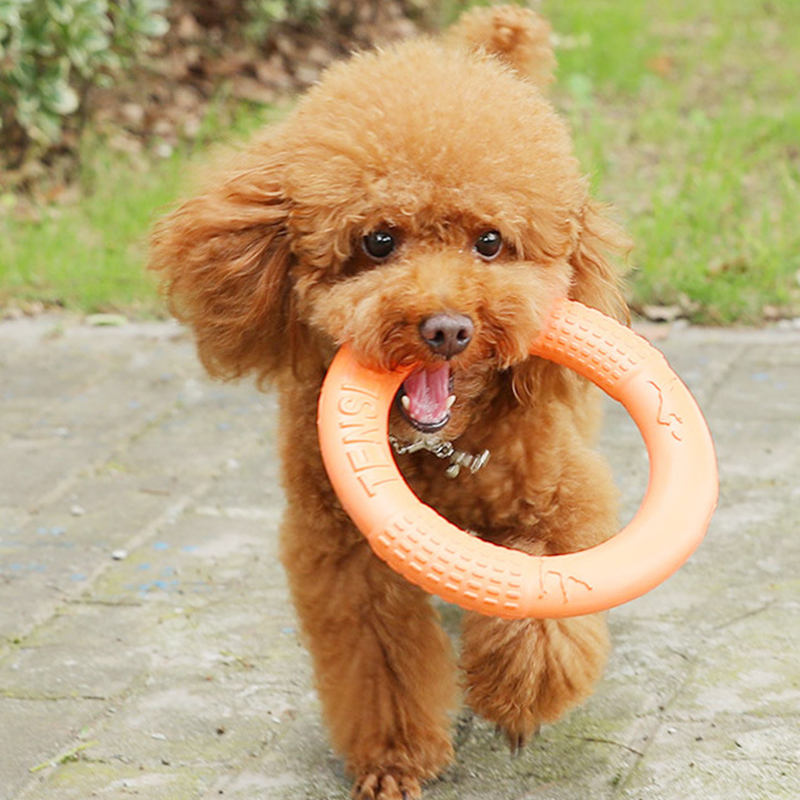 1pc Orange Dog Toys Pet Flying - Snuffle Mat For Dogs review and price