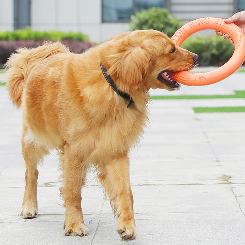 1pc Orange Dog Toys Pet Flying - Snuffle Mat For Dogs review and price