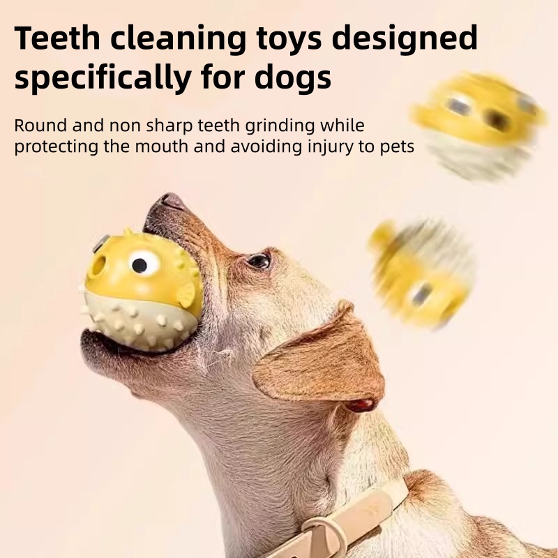 Interactive Bouncing Fish Trea - Rubber Treat Dispensing Dog Toy review and price