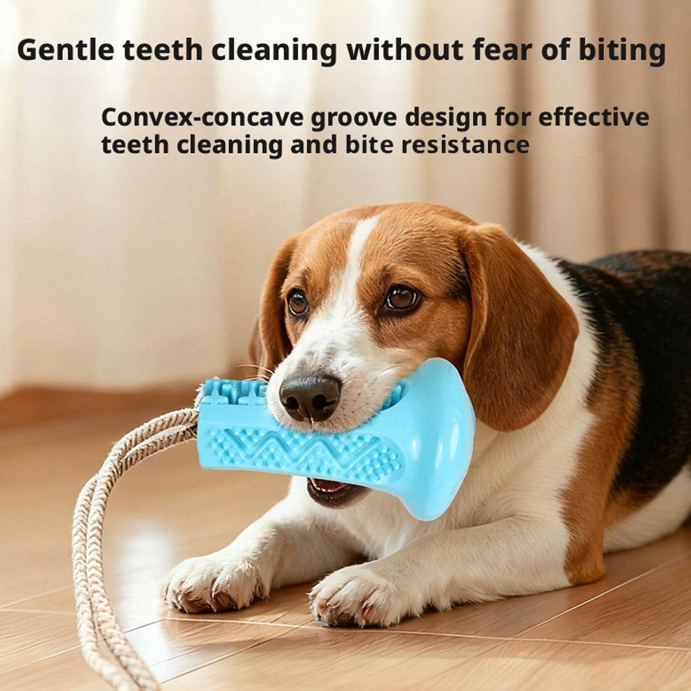 Suction Cup Dog Chew Toy Inter - Suction Cup Dog Tug Toy review and price
