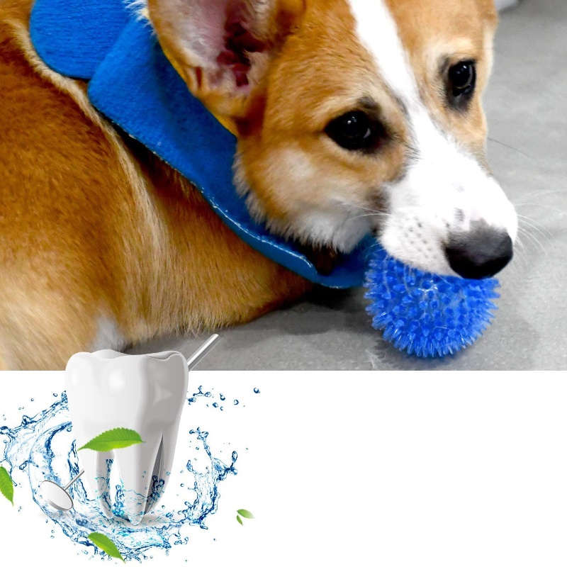 Pet Toy Ball for Cats And Dogs - Indestructible Dog Chew Toy review and price
