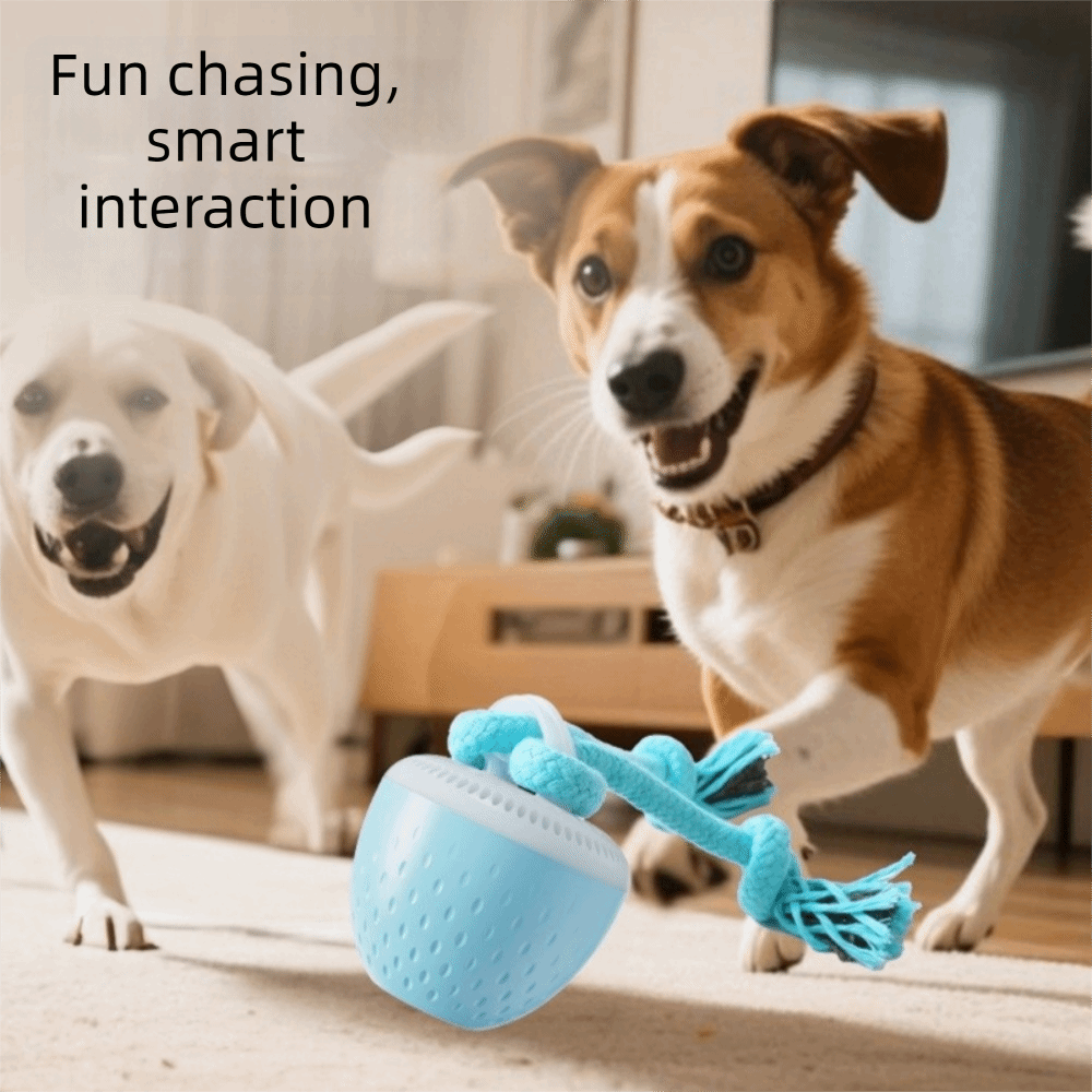 Bite Resistant Smart Pet Toy B - Automatic Moving Dog Ball review and price