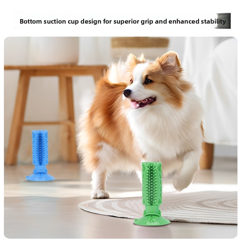 Dog Teeth Cleaning Chew Toy Su - Teeth Cleaning Dog Chew Bone review and price