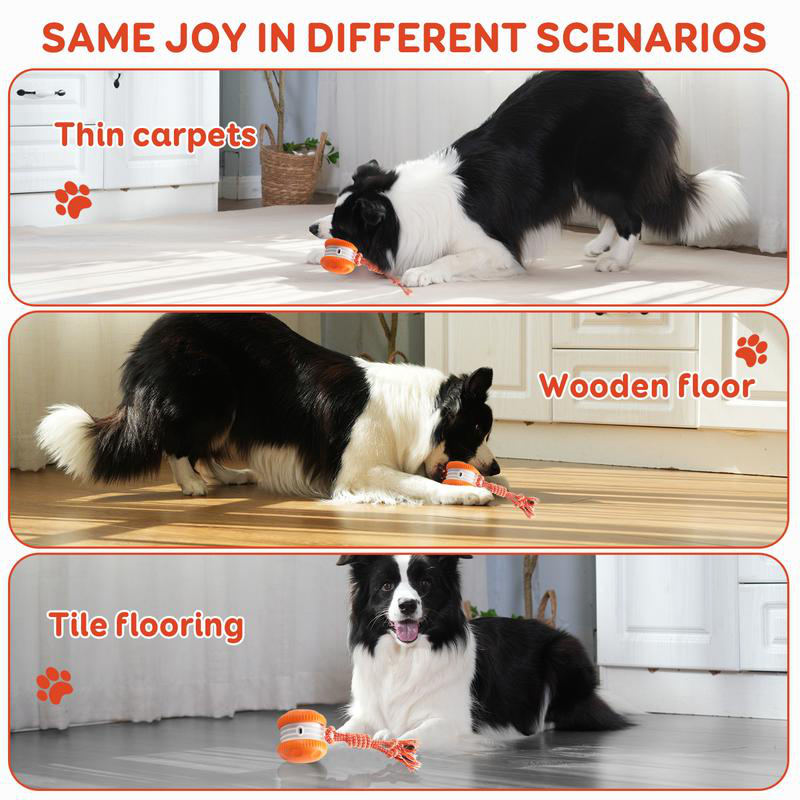 Smart Electric Interactive Pet - Automatic Moving Dog Ball review and price