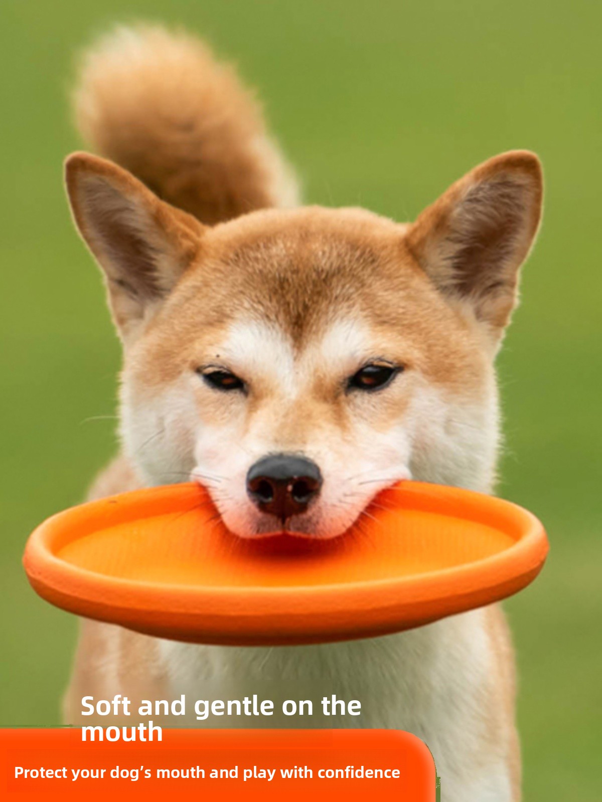 Dog Flying Disc Soft Durable B - Flying Disc Dog Training Toy review and price