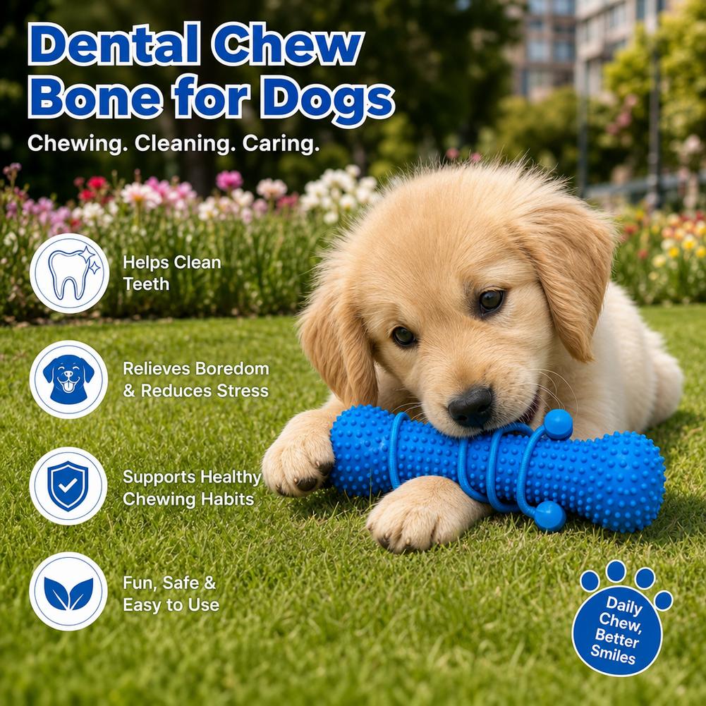 Dog Teeth Cleaning Chew Toy Bi - Teeth Cleaning Dog Chew Bone review and price