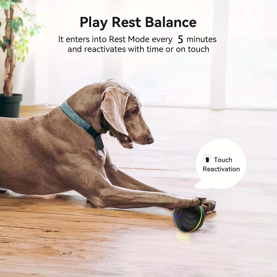 Interactive Smart Dogs Toys Ba - Automatic Moving Dog Ball review and price