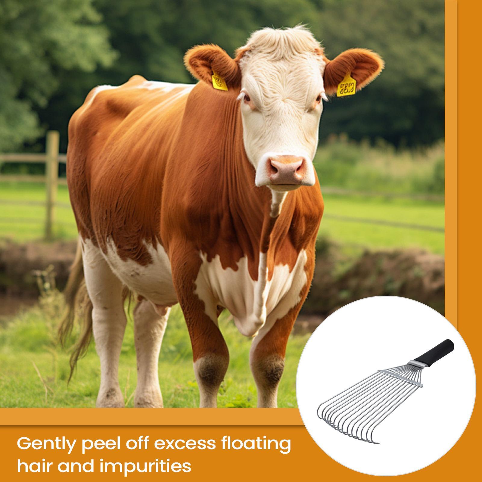 Horse Grooming Rake Shedding B - Pet Grooming review and price