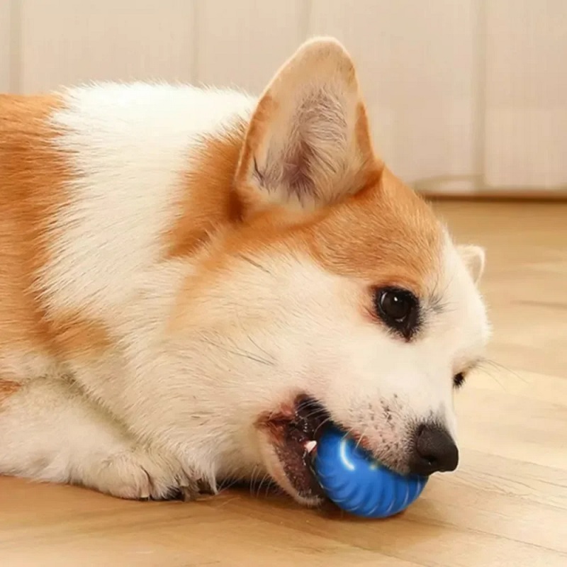 Dog Toy Ball Automatic Moving  - Automatic Moving Dog Ball review and price