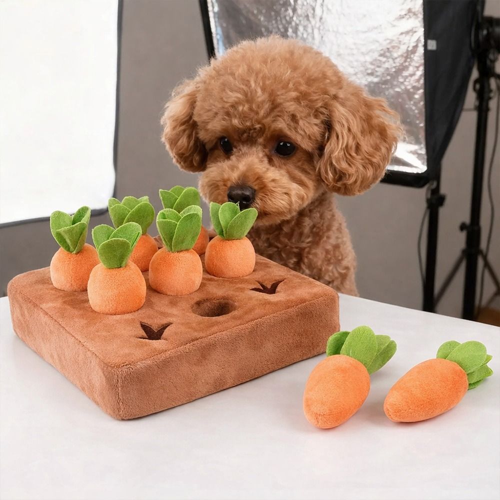Stress Relief Carrot Snuffle M - Snuffle Mat For Dogs review and price