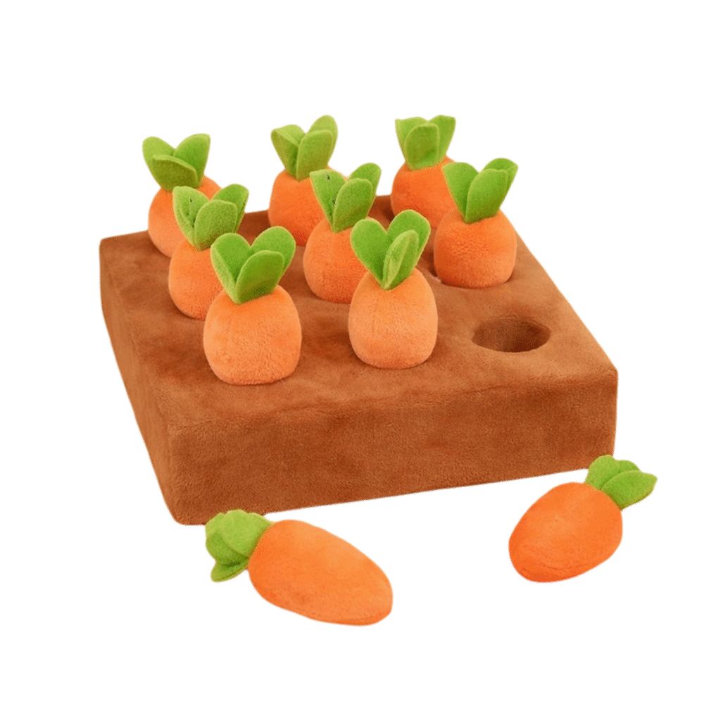 Stress Relief Carrot Snuffle M - Snuffle Mat For Dogs review and price