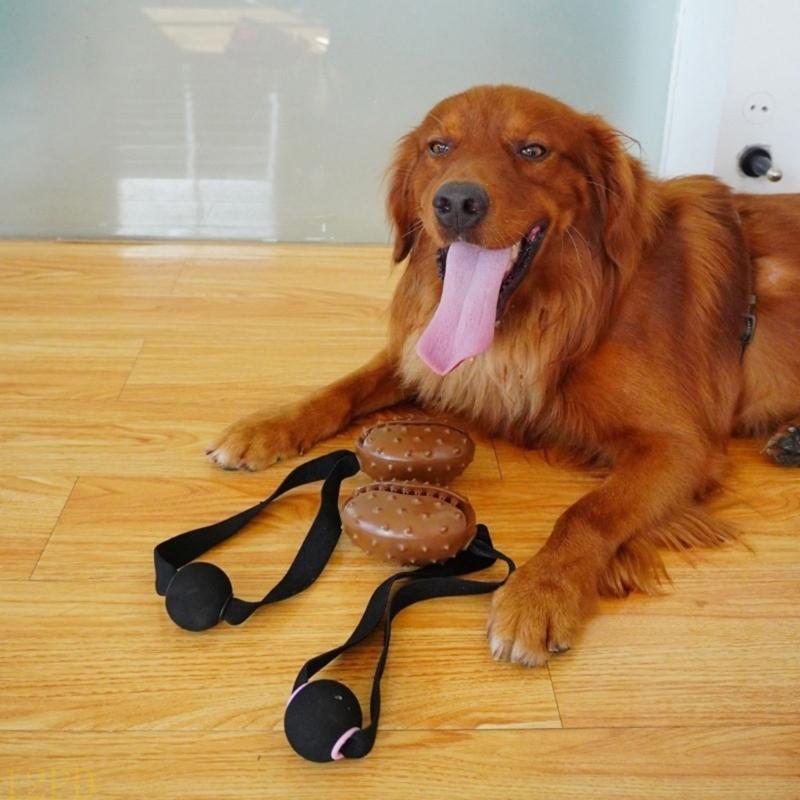 12PD Rope Coffee Bean Dog Chew - Dog Rope Toy Aggressive Chewers review and price