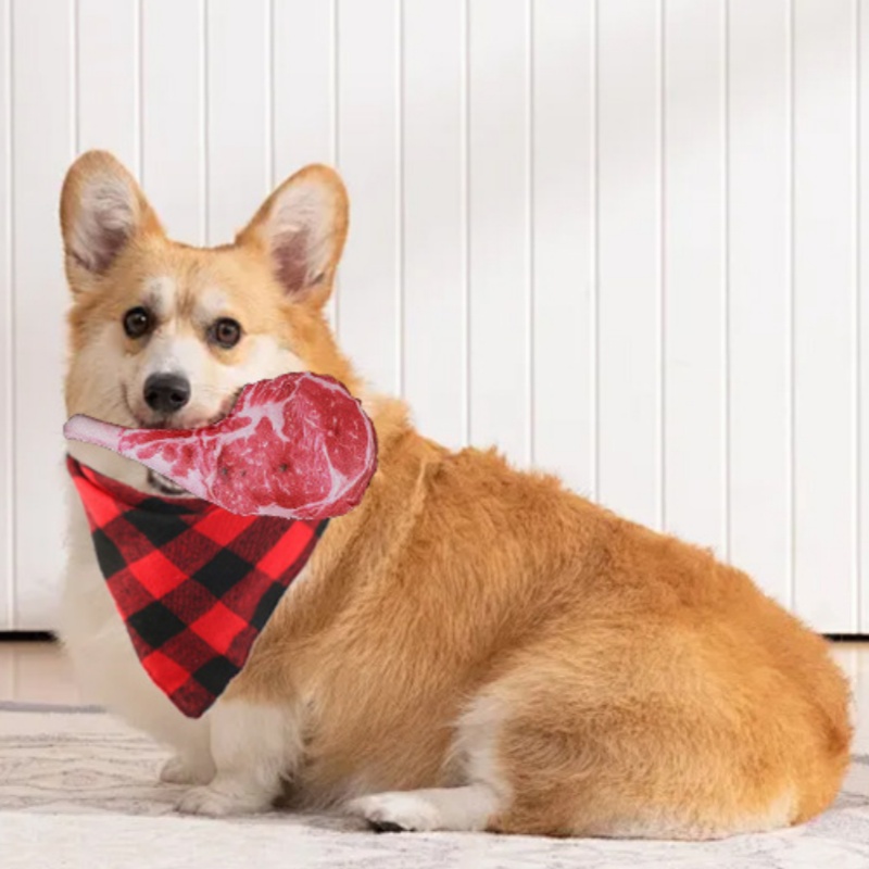Simulated Steak Squeaky Dog To - Teeth Cleaning Dog Chew Bone review and price