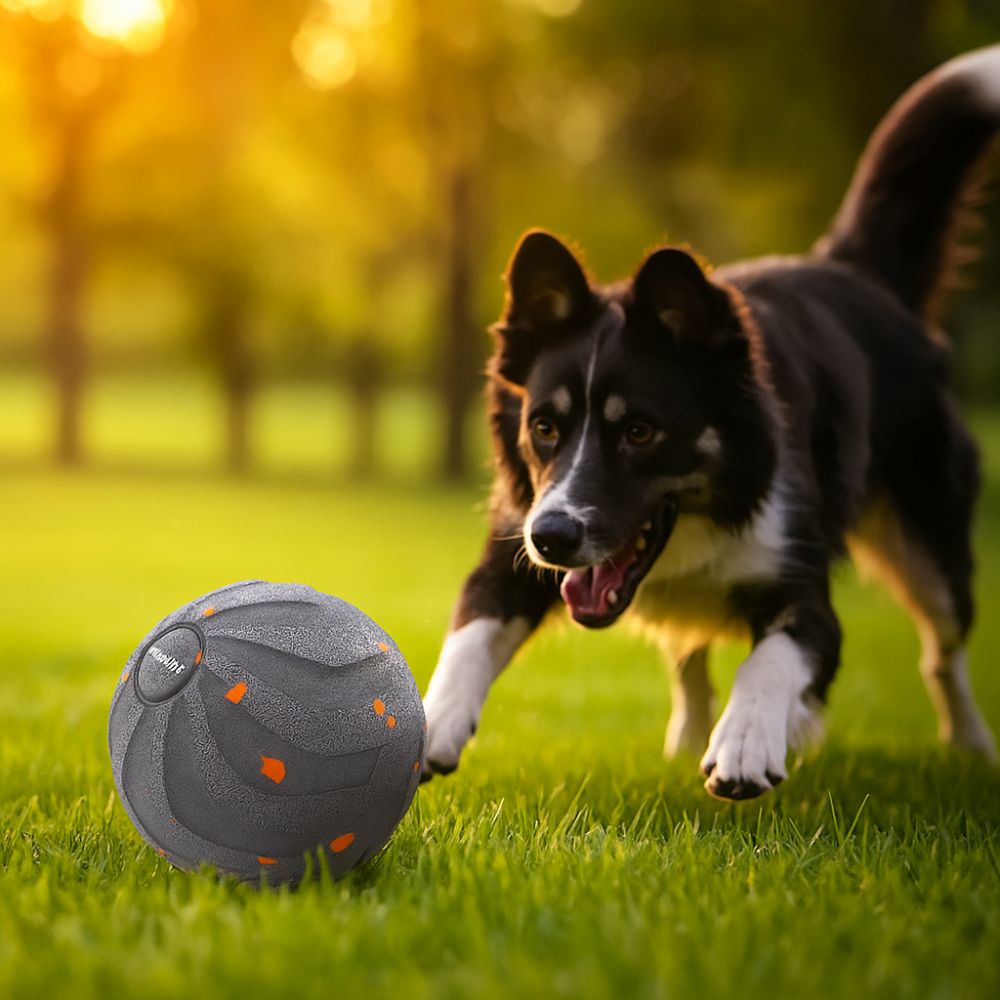 Bite Resistant Smart Dog Toy B - Automatic Moving Dog Ball review and price
