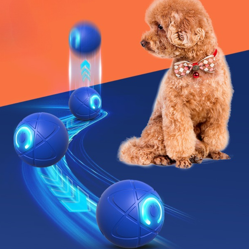 Smart Dog Toy Ball USB Automat - Automatic Moving Dog Ball review and price