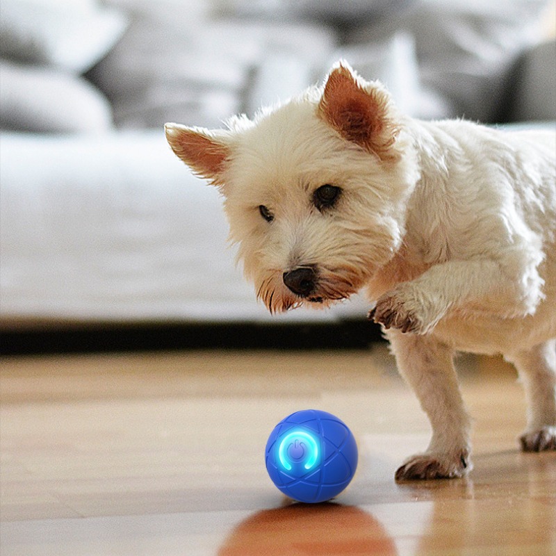 Smart Dog Toy Ball USB Automat - Automatic Moving Dog Ball review and price