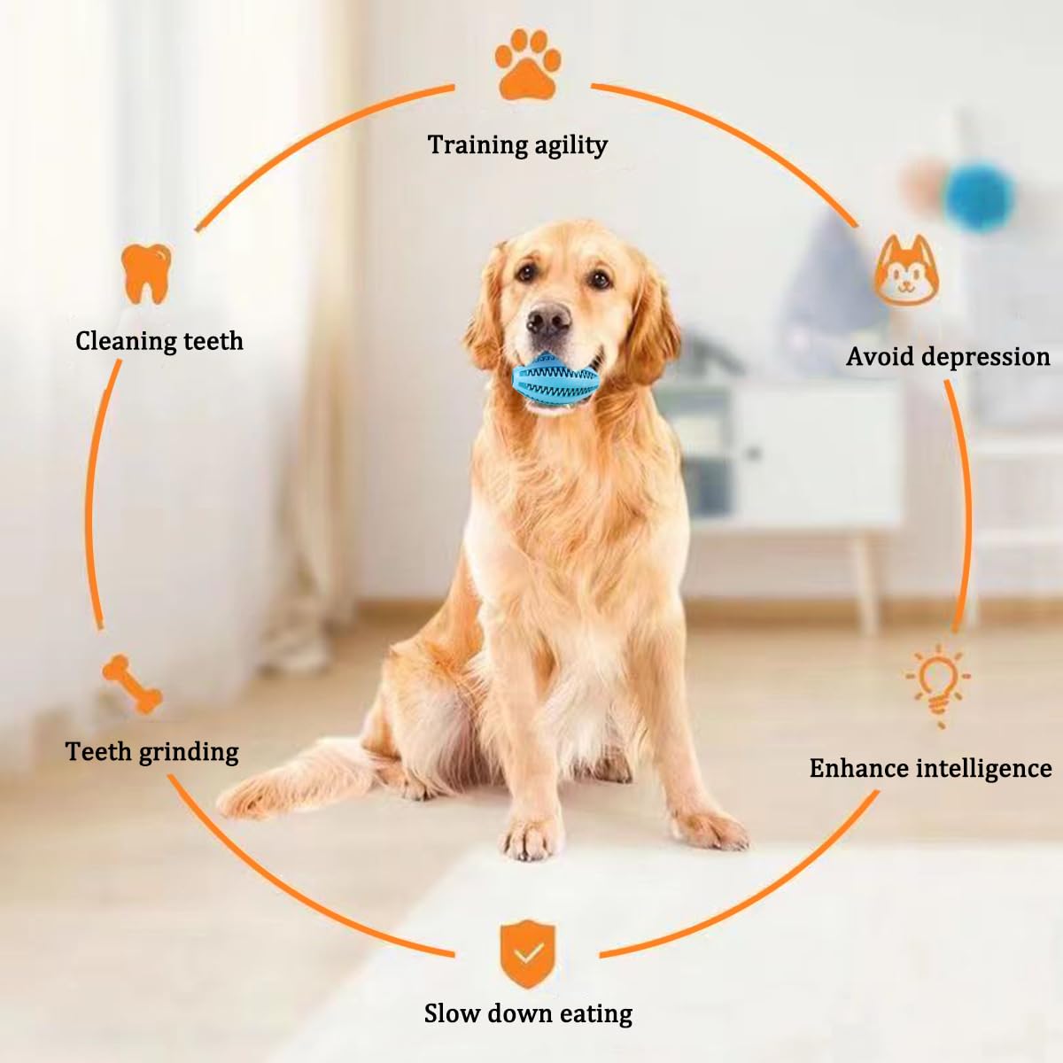 Pet Dog Chew Toys Teeth Cleani - Indestructible Dog Chew Toy review and price