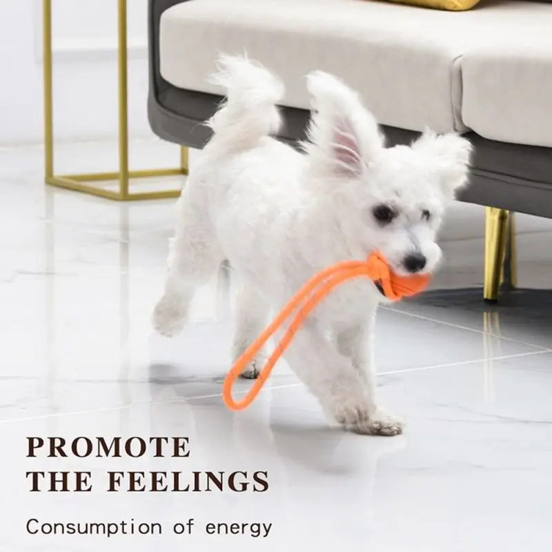 Dog Training Ball on Rope Cott - Indestructible Dog Chew Toy review and price