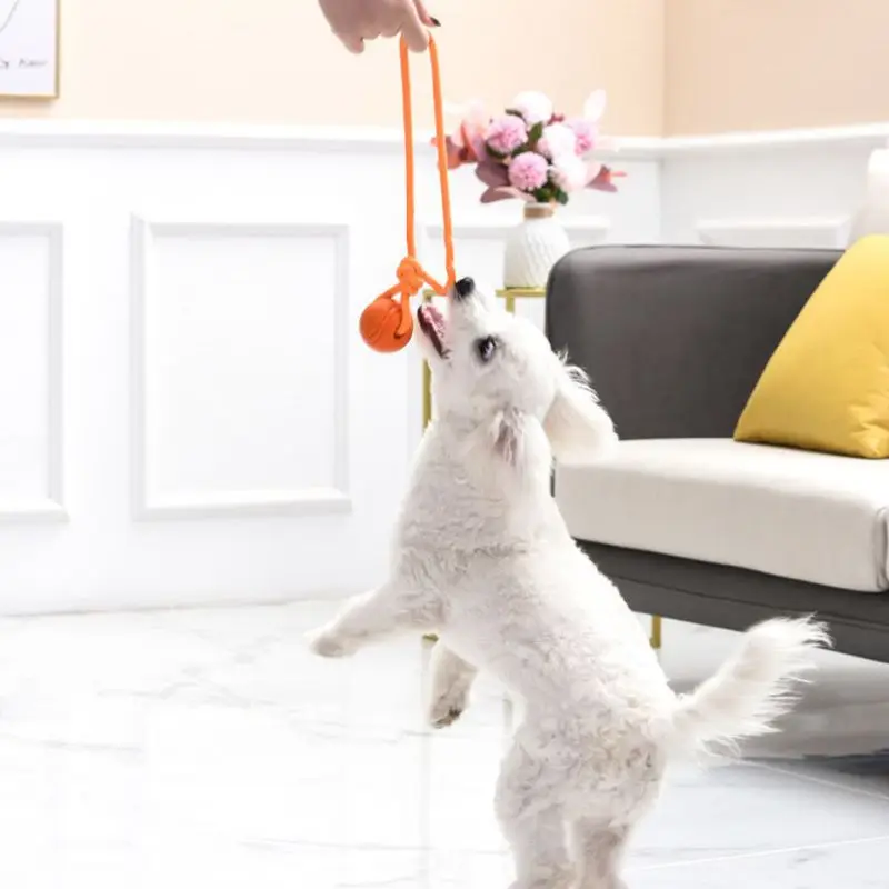 Dog Training Ball on Rope Cott - Indestructible Dog Chew Toy review and price