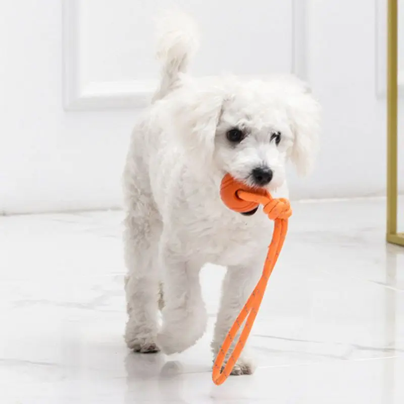 Dog Training Ball on Rope Cott - Indestructible Dog Chew Toy review and price