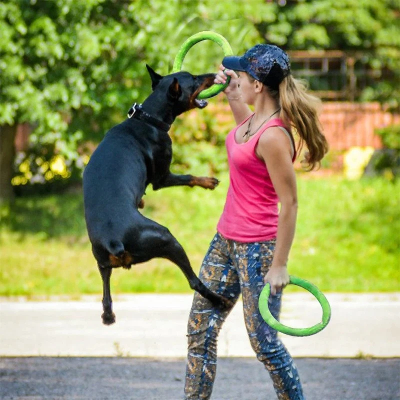 Dog Toys Pet Flying Discs EVA  - Indestructible Dog Chew Toy review and price