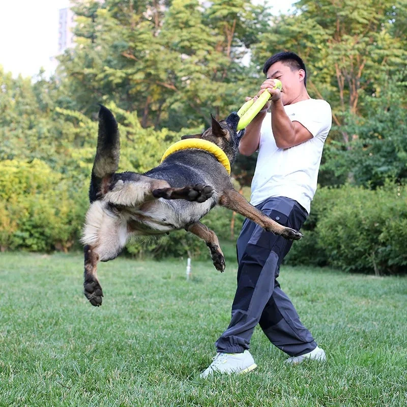Dog Toys Pet Flying Discs EVA  - Indestructible Dog Chew Toy review and price
