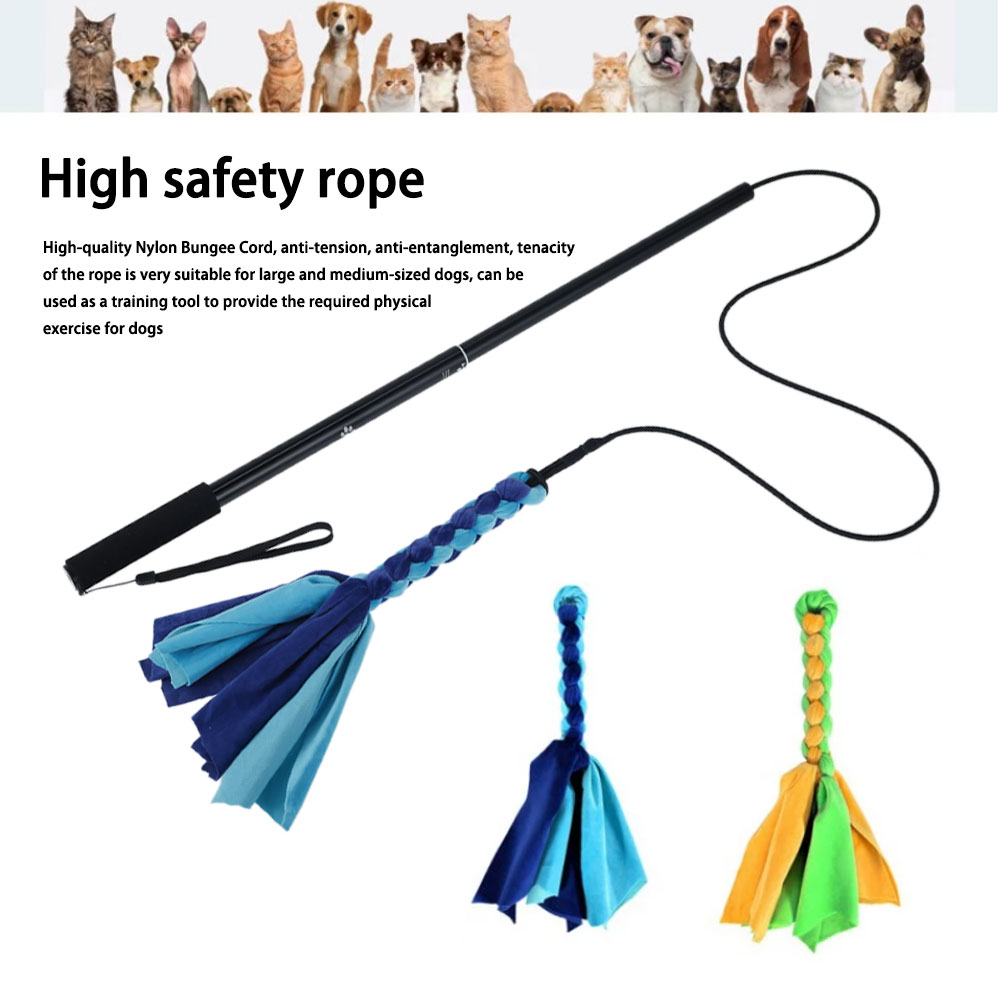 Retractable Dog Stick Interact - Indestructible Dog Chew Toy review and price