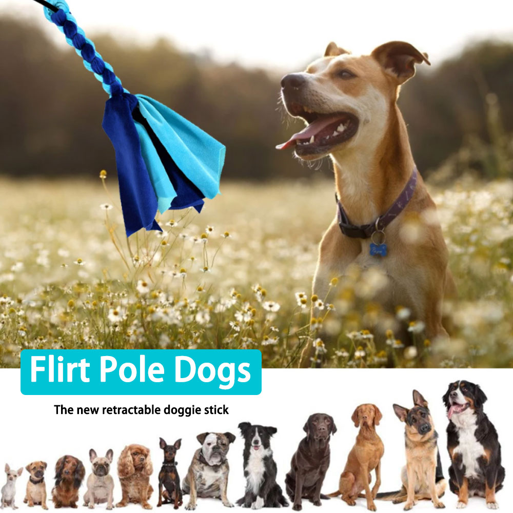 Retractable Dog Stick Interact - Indestructible Dog Chew Toy review and price