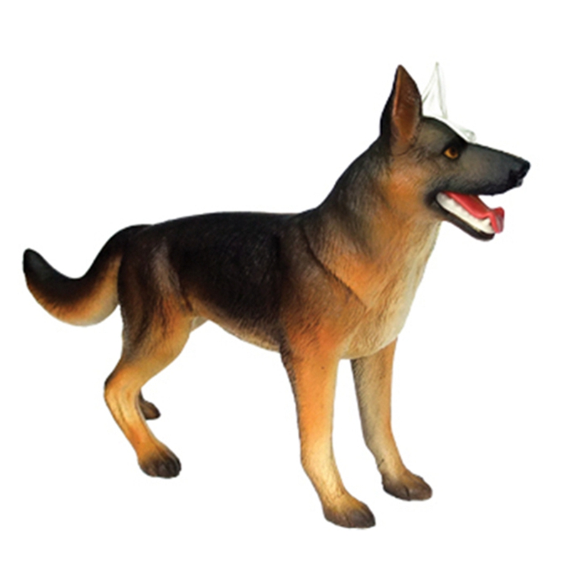 Animal Organ Anatomy Model 4D  - Dog Toys review and price
