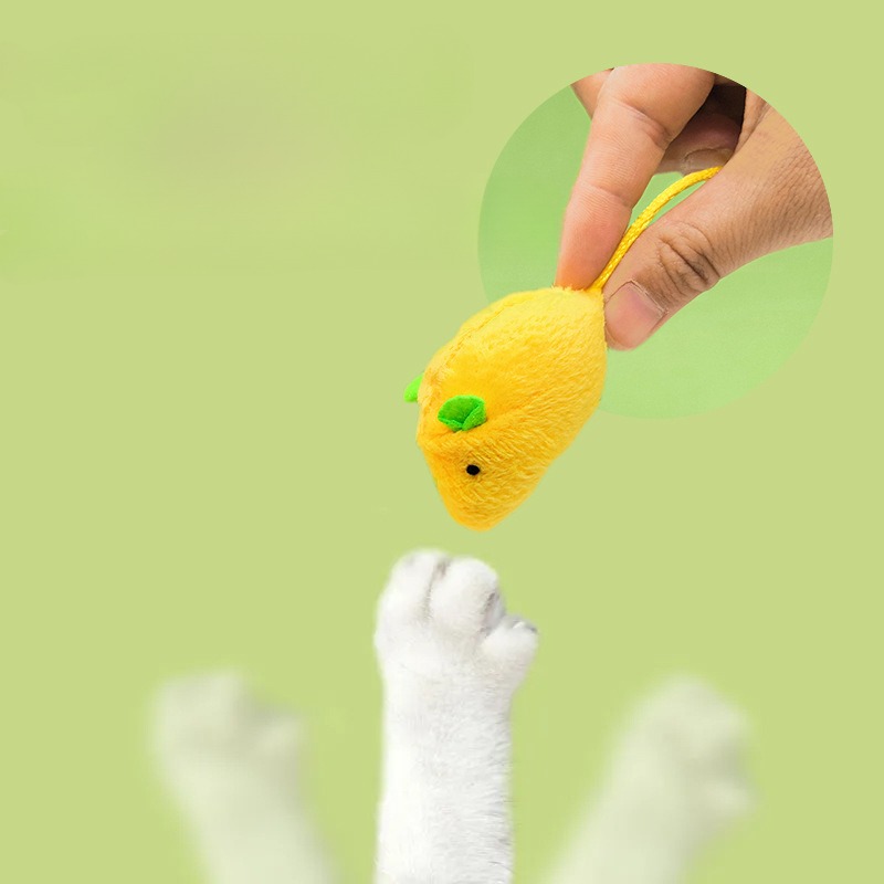 Cat Mouse Toys Interactive Cat - Catnip Interactive Plush Mouse review and price