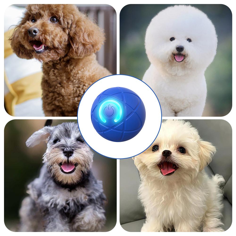 Electronic Interactive Pet Toy - Automatic Moving Dog Ball review and price