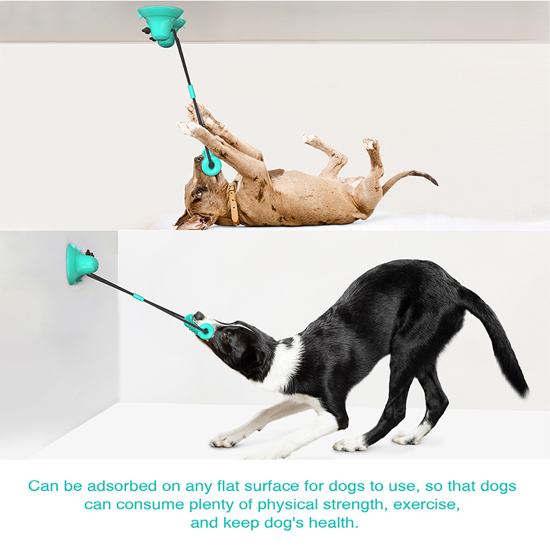 Dual Suction Cup Dog Chew Tug  - Suction Cup Dog Tug Toy review and price
