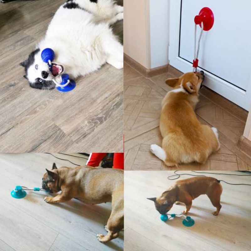 Durable Suction Cup Dog Tug To - Suction Cup Dog Tug Toy review and price
