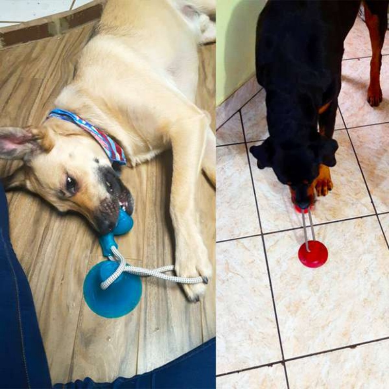 Durable Suction Cup Dog Tug To - Suction Cup Dog Tug Toy review and price