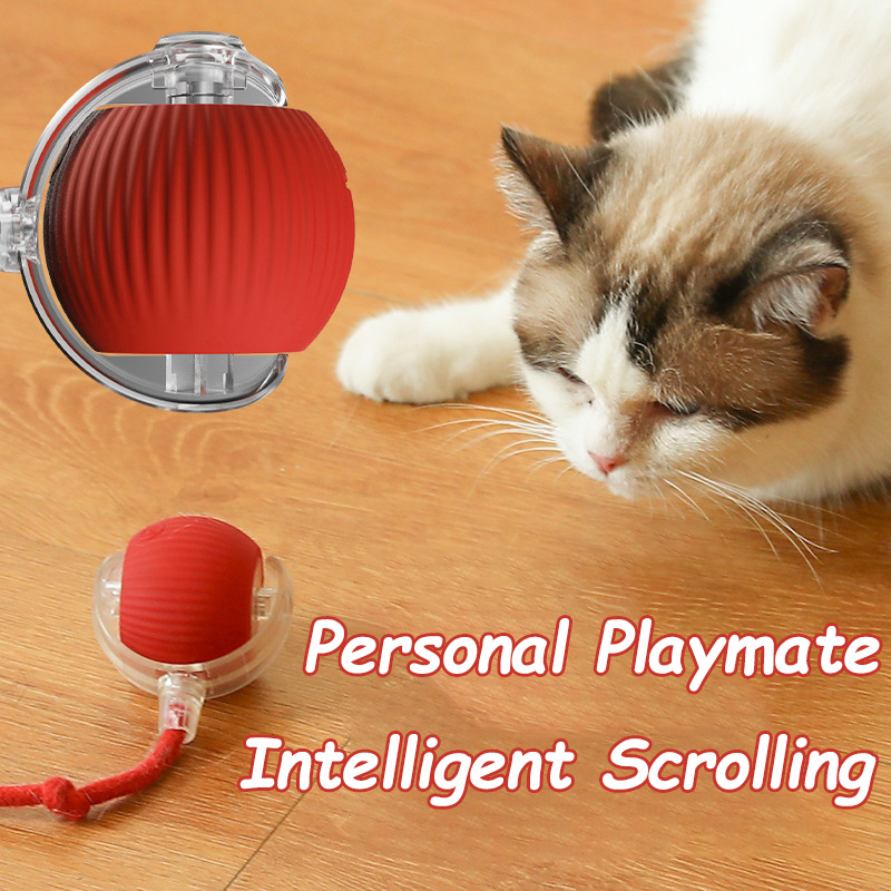 New Cat Interactive Ball Toy A - Automatic Moving Dog Ball review and price