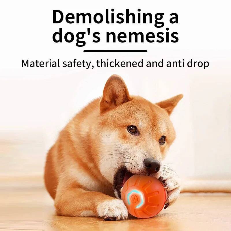 Smart Dog Toy Ball Electronic  - Automatic Moving Dog Ball review and price