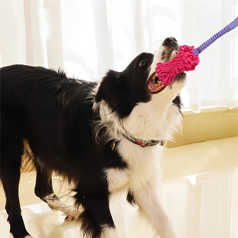 Durable Dog Toys for Aggressiv - Indestructible Dog Chew Toy review and price