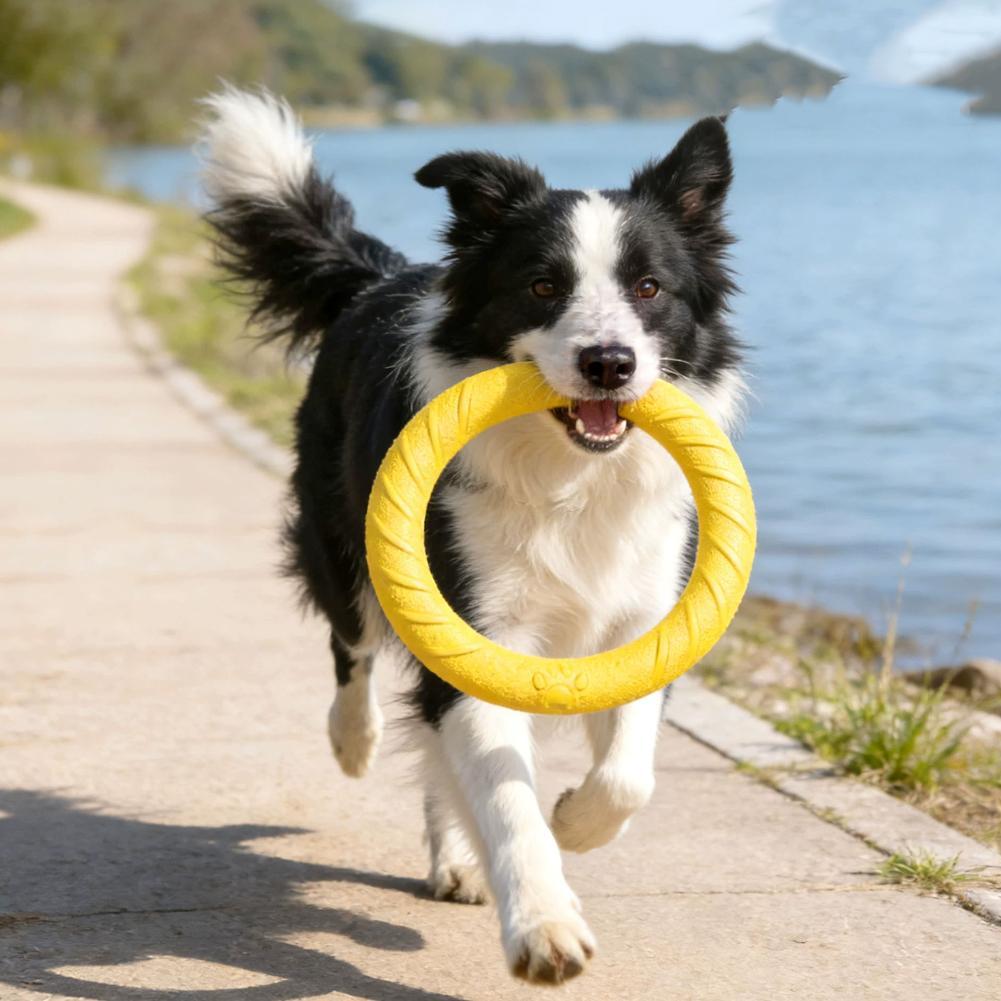 Dog Ring Toys Indestructible C - Indestructible Dog Chew Toy review and price