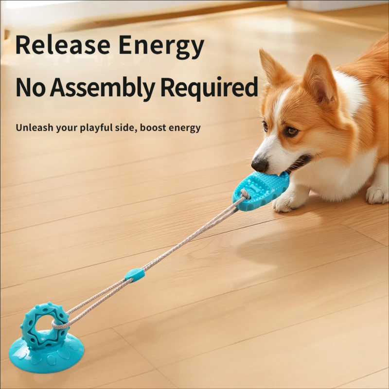 Suction Cup Dog Tug Toy Intera - Suction Cup Dog Tug Toy review and price