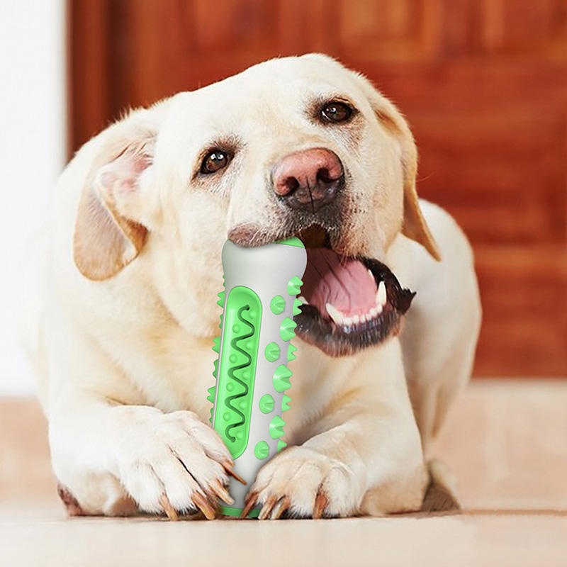 TPR Dog Molar Stick Chew Toy D - Teeth Cleaning Dog Chew Bone review and price