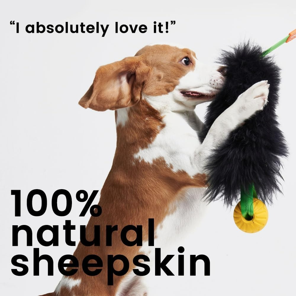 Dog Rope Toy Interactive Dog B - Indestructible Dog Chew Toy review and price